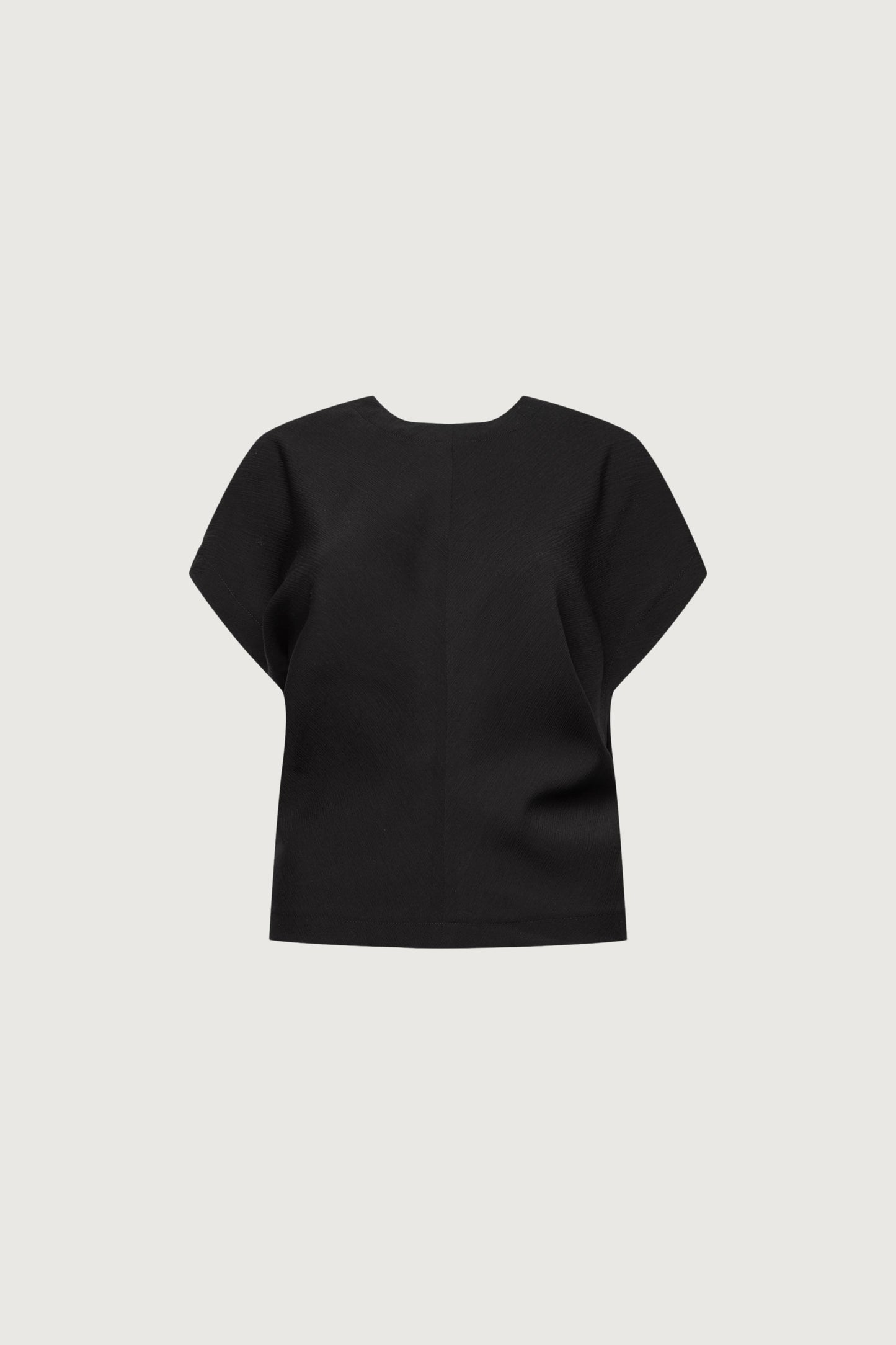 CRINKLED RAYON SHORT SLEEVE TOP