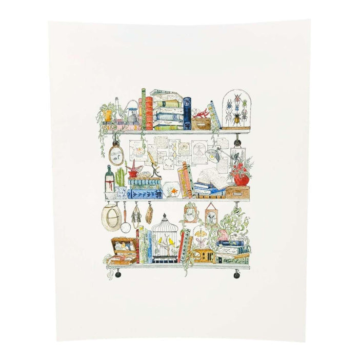 Art Print - 8x10 - The Biologist's Shelves by Lizzy Gass