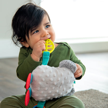 Sassy Kozy Koalas Newborn Gift Set