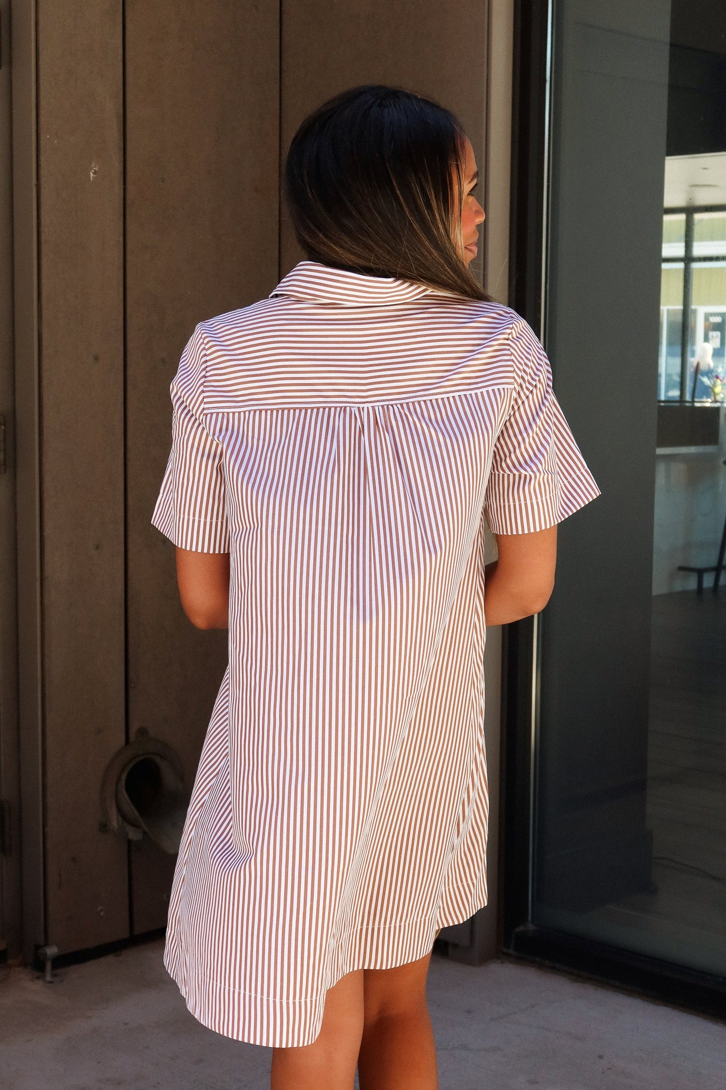 Trista Brown & White Striped Mini Dress