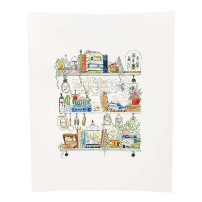 Art Print - 8x10 - The Biologist's Shelves by Lizzy Gass